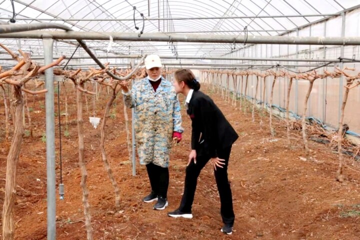 曲靖宣威长江村镇银行：普惠金融助农户“贷”出农户致富路