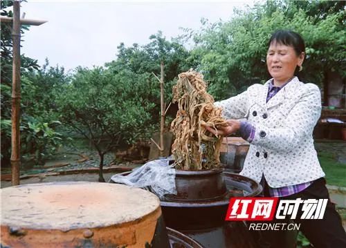 难忘美味擦菜子打汤！当时只道是寻常，谁知乡思在里藏