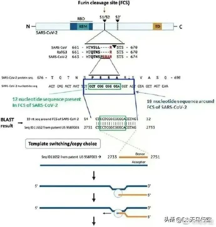 突發(fā)：英媒宣稱，研究證實(shí)新冠病毒是美國(guó)公司制造