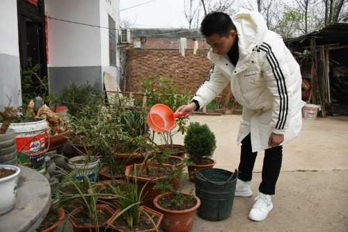 嵩县出了个“实在娃”