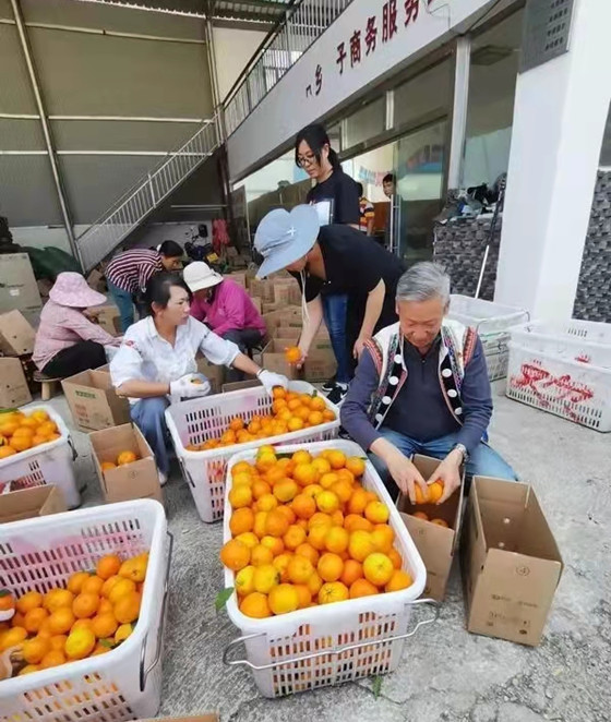 云南33吨蔬菜驰援上海-跨越山海之遥共同抗疫