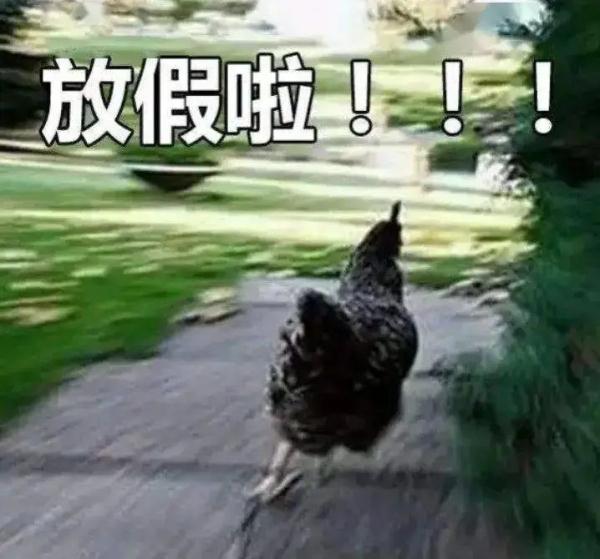 地税局上班时间,地税局上班时间?