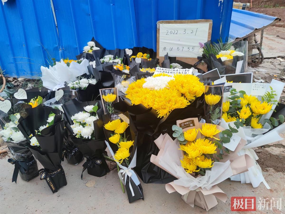 东航事故现场举行遇难者哀悼活动，市民到村口献花：愿灯光照亮回家的路