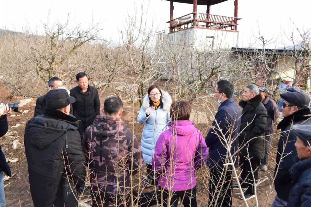 強國復(fù)興有我 | 我的奮斗故事——安徽省三八紅旗手標兵 秦改花