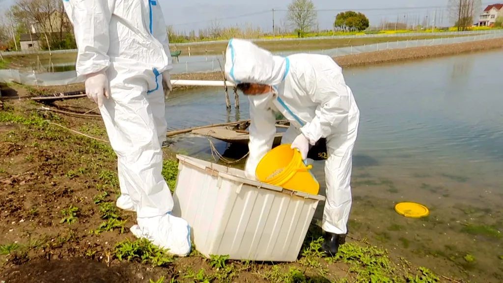 当涂战疫：快而不乱有温度，静待春天重启