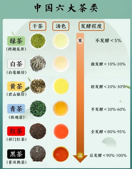 喝茶真的能“刮油”减肥吗？来看看科学的解释