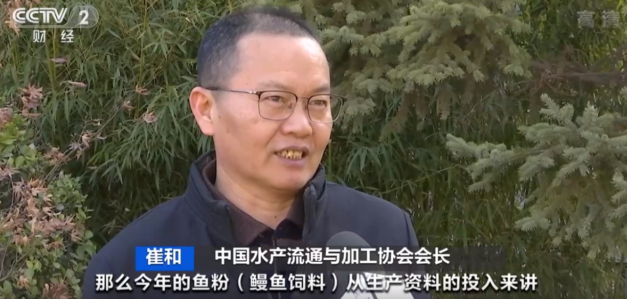 捕获量减少，鳗苗大幅涨价！业内人士：终端市场价格或将走高