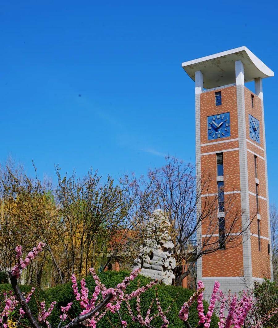 共享校园春光|聊城大学东昌学院:春回校园,每一张都是壁纸