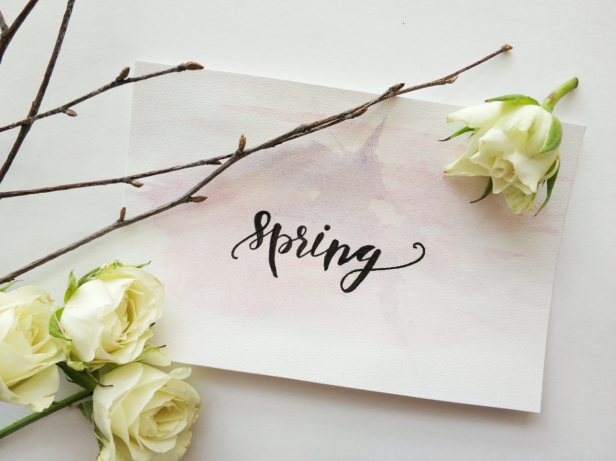 8个与春有关的单词，抒写春日美好