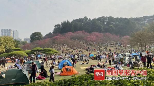 蚂蚁咬人后症状图片(女子被蚂蚁咬后1小时才就医，结果……差点出大事)