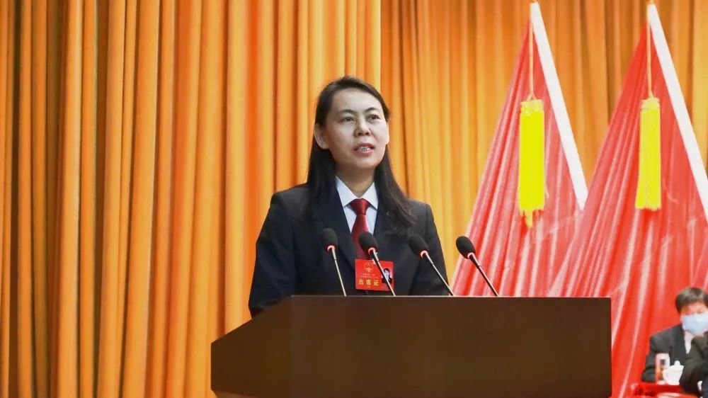 平阴县人民法院院长刘学宽在第十九届人民代表大会第一次会议上作工作报告