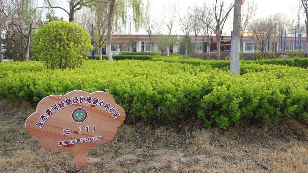 花开正当时 不负春光好 | 春日里的济南市天桥区刘庙小学