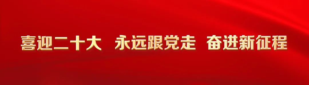 大學生a級證書，大學生證書有哪些