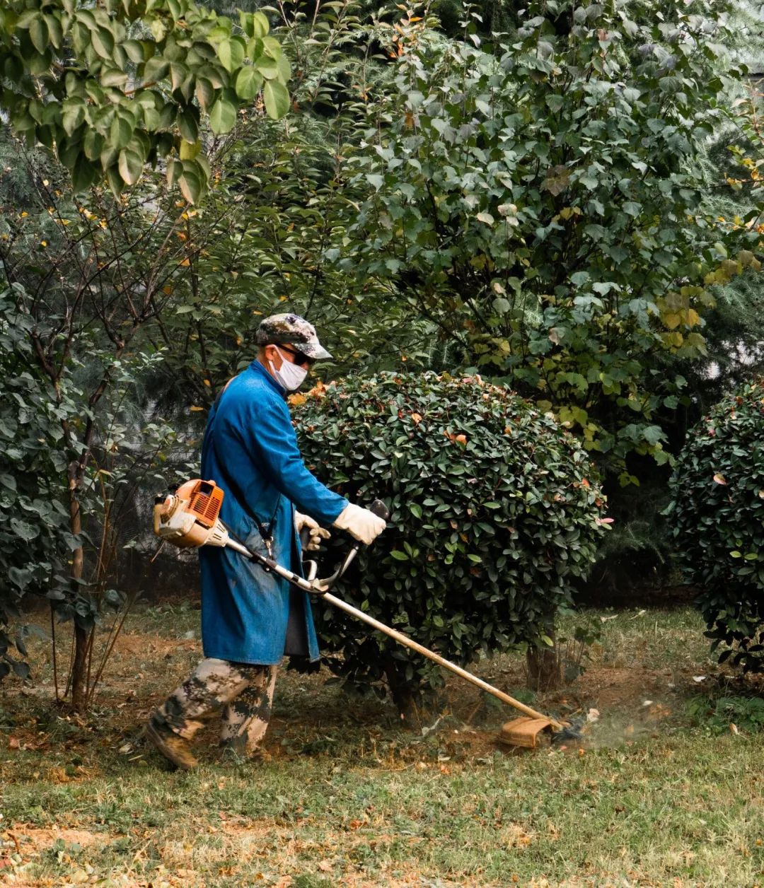 甜甜甜！实力宠学生！河南高校这波操作