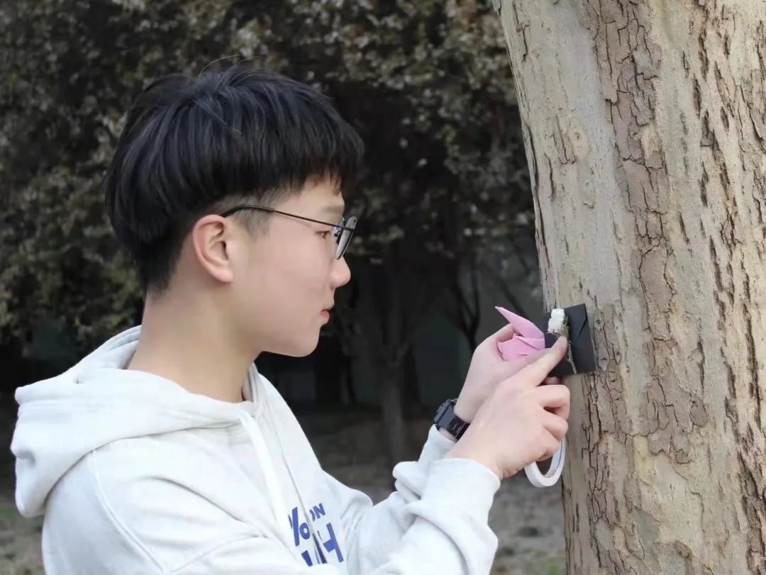 甜甜甜！实力宠学生！河南高校这波操作