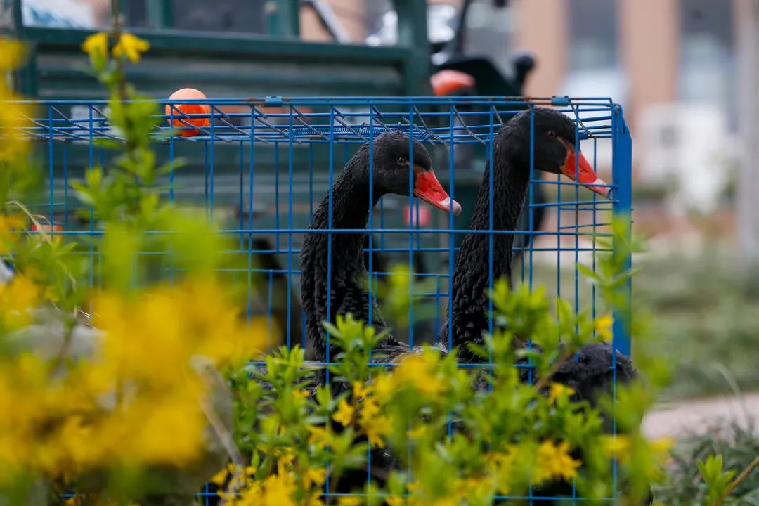 甜甜甜！实力宠学生！河南高校这波操作