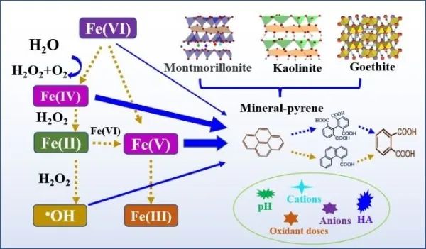 高铁酸盐氧化降解矿物界面多环芳烃研究获进展