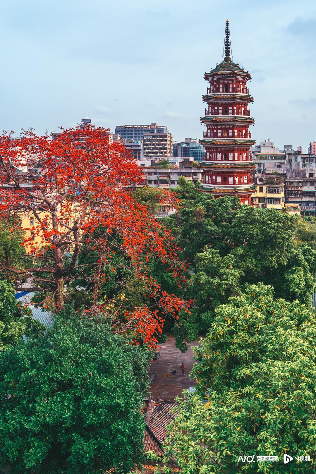 广州东湖公园 广州市东湖公园的简介 - 春风号