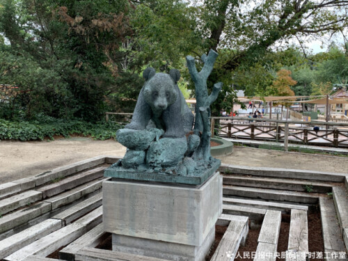 大熊猫只有中国有吗(没想到，出生在这国的大熊猫有这么多)