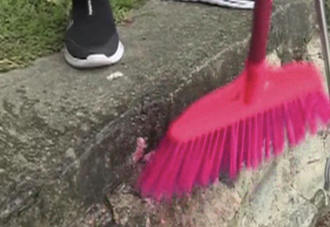 千万别碰！千万别碰！近期广东高发！寄生虫可多达6000条