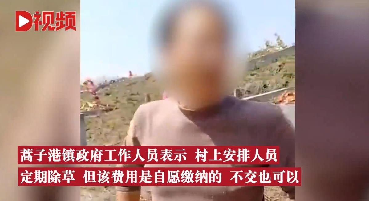 湖南一女子回乡扫墓被要求交钱，镇政府回应