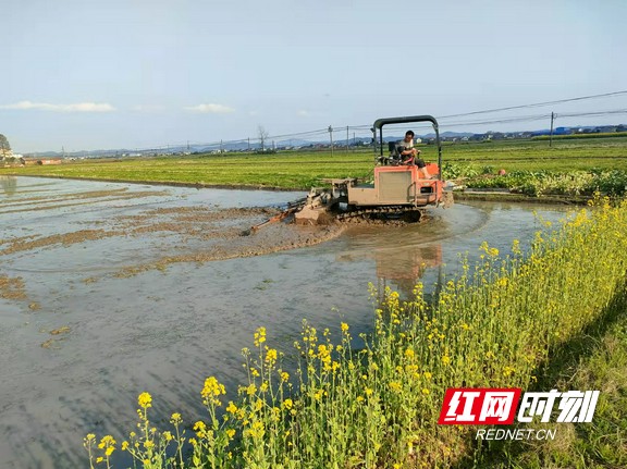 题诗三湘春耕春耕防疫“不失时”，“五谷不绝”尽欢颜