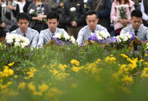 树葬、花葬、抛撒葬……“回归自然”渐成殡葬方式新选择