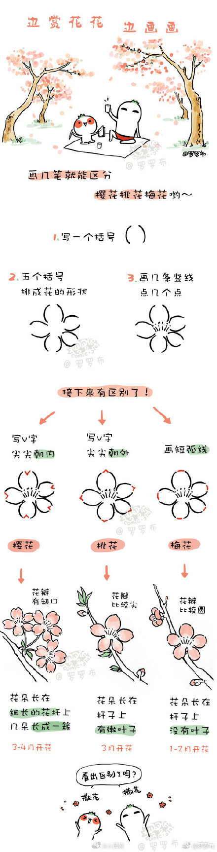 快速區分櫻花桃花梅花梨花李花杏花