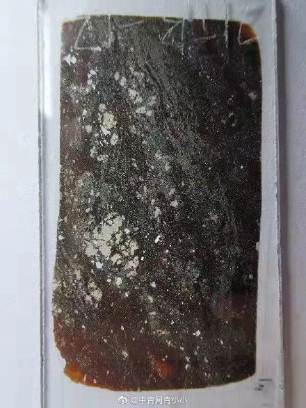 ����ͩ�ط�����Ȼ���¿���