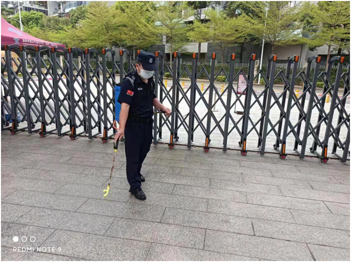 南山外國語學(xué)校在深圳的排名怎樣?校園如春(圖1)