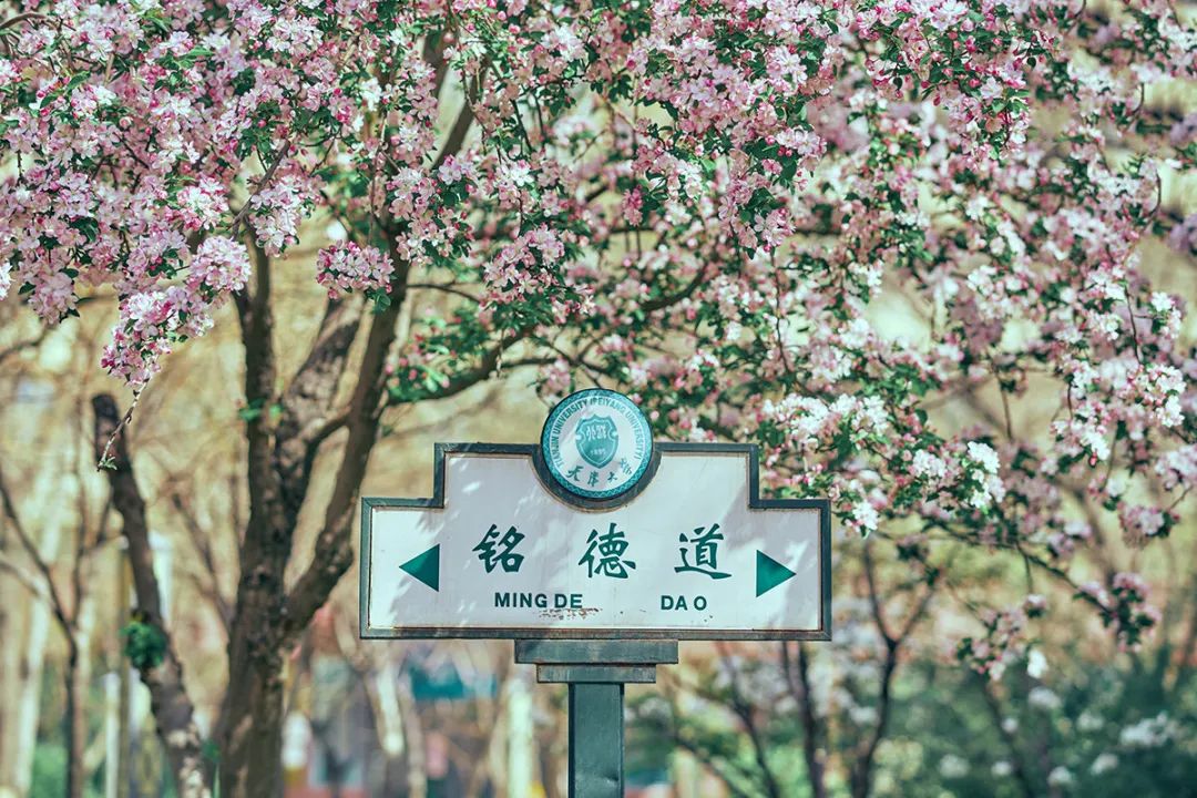 海棠春讯：2022年“天大·海棠季”活动公告