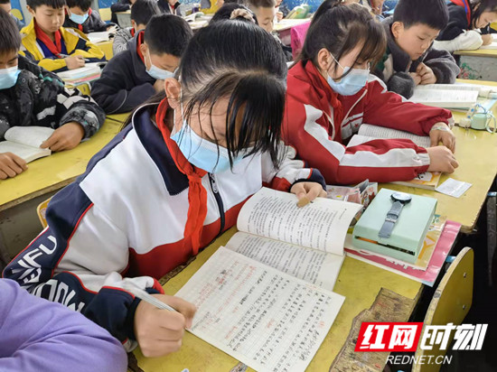 桑植陈家河小学：让学生以书为伴 与笔为友(图5)