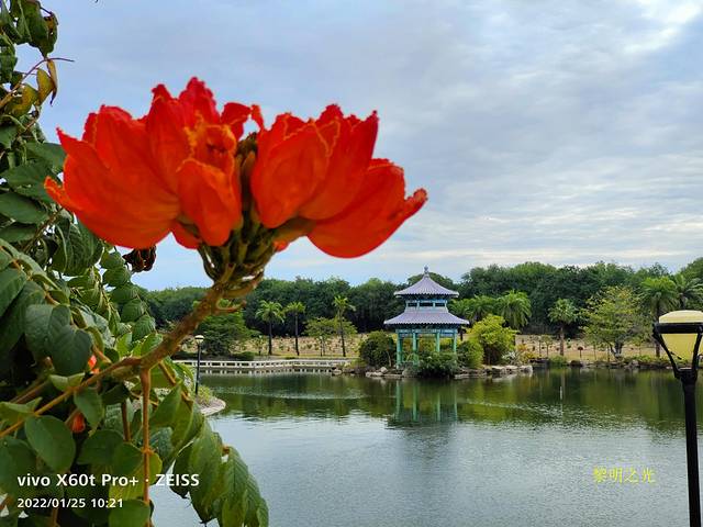 壬寅年春节三亚、海口游（一）海南省5A景区游作者黎明之光