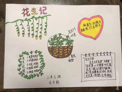 应昌小学大明湖校区二年级线上项目式活动(图21)