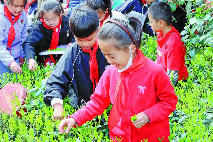 青田縣伯溫中學深化“五育融合”鑄造浙南名校(圖4) 青田縣伯溫中學深化“五育融合”鑄造浙南名校(圖4)