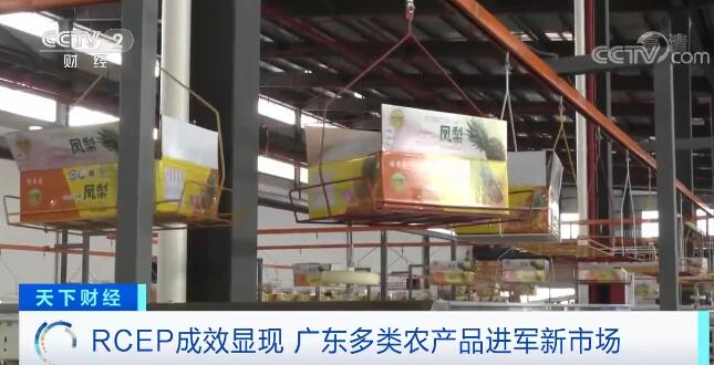 RCEP成员国间经贸发展成效逐步显现 广东多类农产品进军新市场
