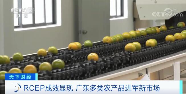 RCEP成员国间经贸发展成效逐步显现 广东多类农产品进军新市场