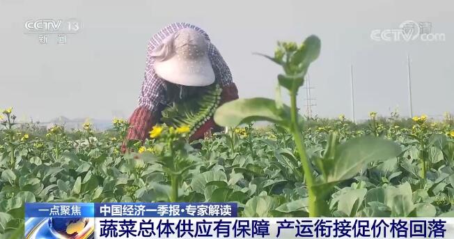 专家解读：全年CPI涨幅3%左右的目标有望实现