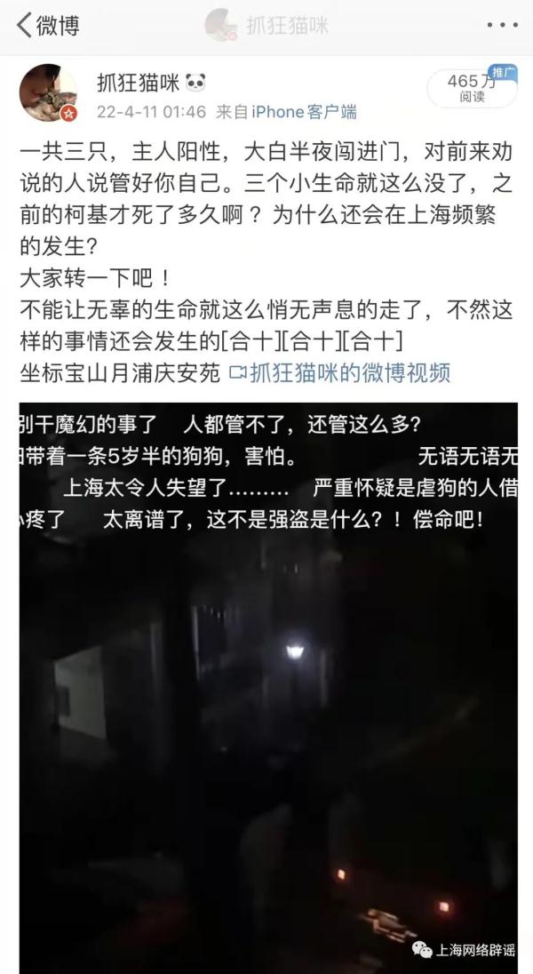 这些都是假的！上海再次辟谣，警方已介入