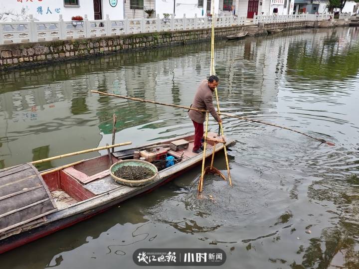 浙江人文地理｜爱吃螺蛳的你，听说过“耙螺蛳”这门非遗手艺吗？