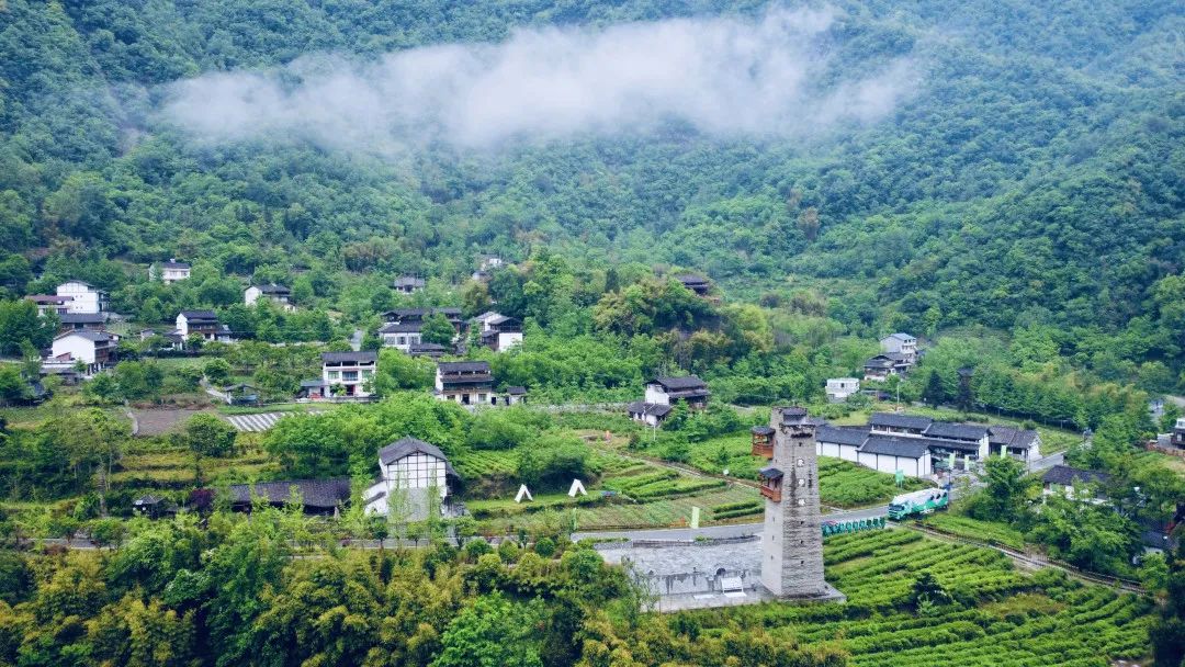 感悟中华文化 享受美好旅程 ‖ （禅茶清谷民宿福利）居云野溪涧，品禅意茶香