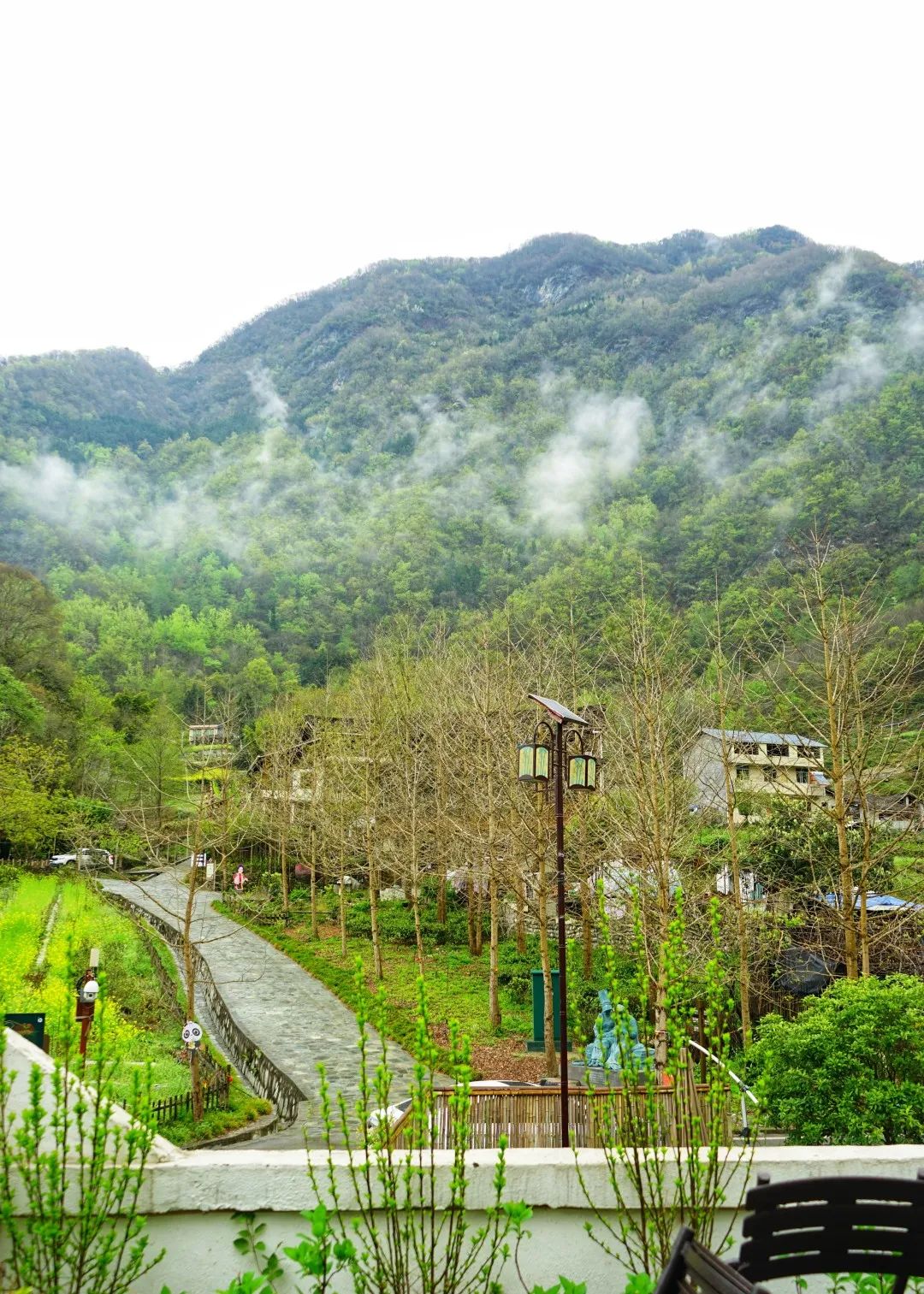感悟中华文化 享受美好旅程 ‖ （禅茶清谷民宿福利）居云野溪涧，品禅意茶香