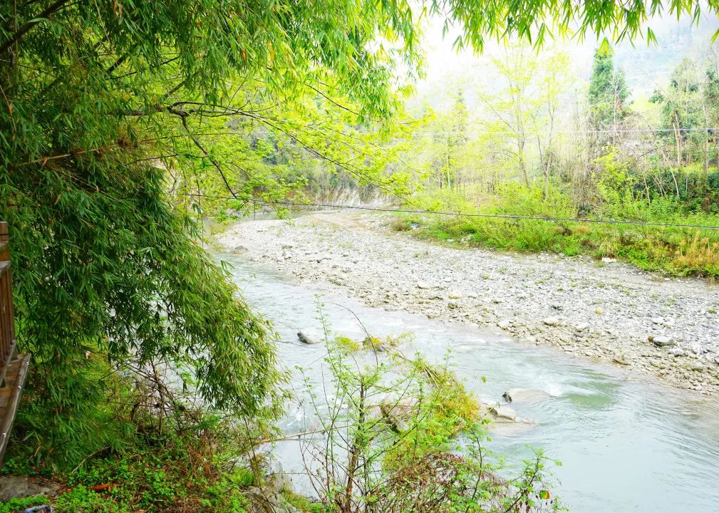 感悟中华文化 享受美好旅程 ‖ （禅茶清谷民宿福利）居云野溪涧，品禅意茶香