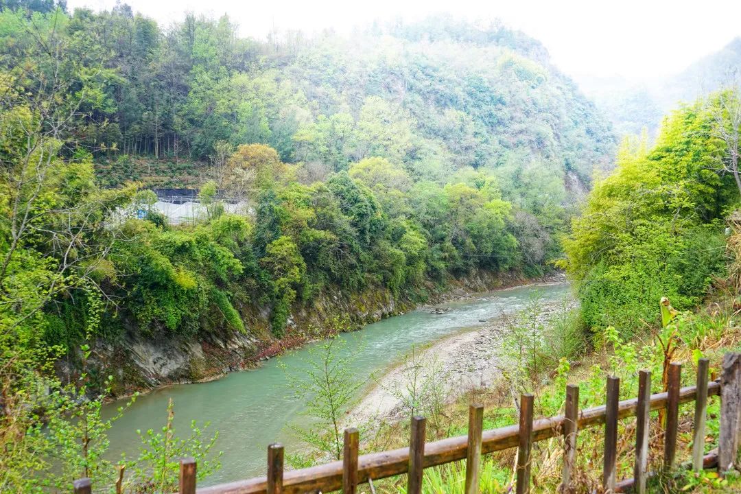 感悟中华文化 享受美好旅程 ‖ （禅茶清谷民宿福利）居云野溪涧，品禅意茶香