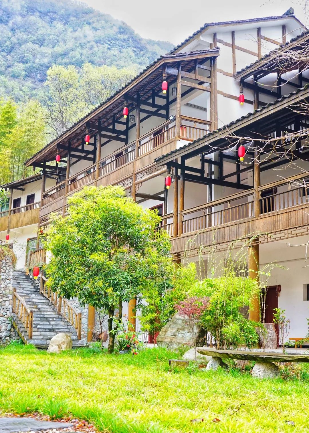 感悟中华文化 享受美好旅程 ‖ （禅茶清谷民宿福利）居云野溪涧，品禅意茶香