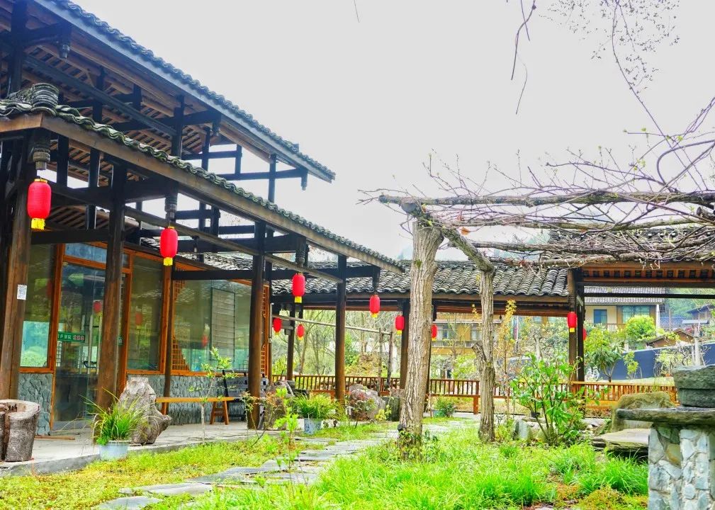 感悟中华文化 享受美好旅程 ‖ （禅茶清谷民宿福利）居云野溪涧，品禅意茶香
