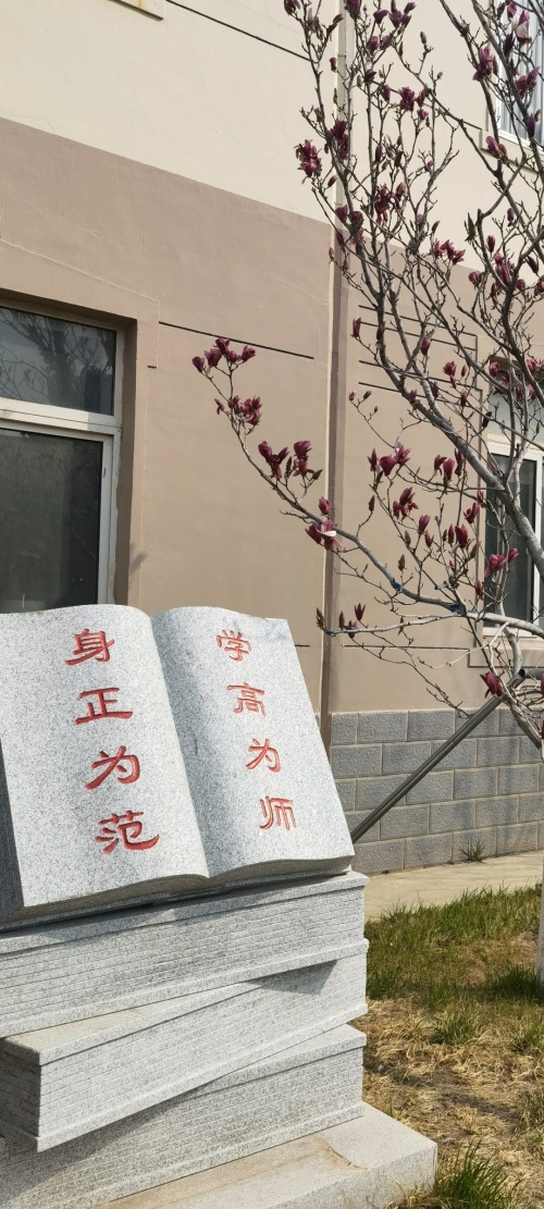 沈阳市第二十四中学教师线上教学展风采(图21)