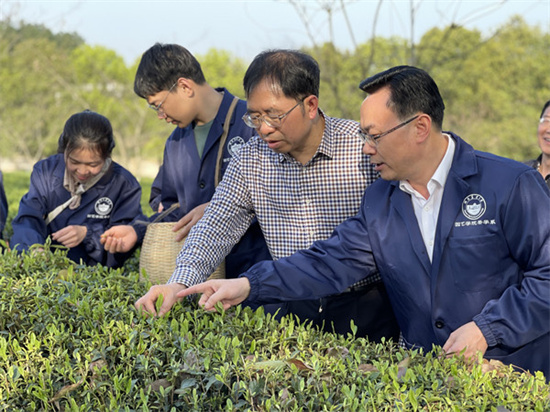 “种业硅谷”拔节生 洞庭依然鱼米乡