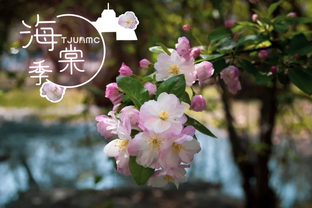 深入实施人才强校战略 加快推进一流大学建设