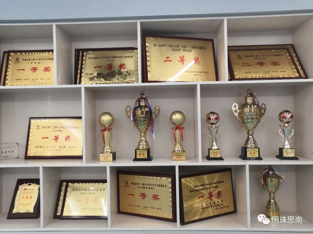 思南縣第九中學(xué):以“藝”育人 特“材”成長(zhǎng)(圖7) 思南縣第九中學(xué):以“藝”育人 特“材”成長(zhǎng)(圖7)